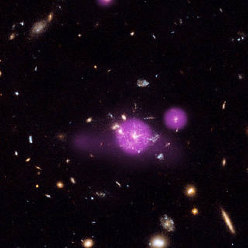 Feasting Black Holes Caught in Galactic Spiderweb